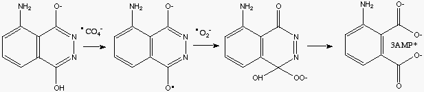 Fe(II) Mechanism B