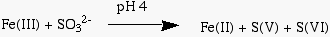 Fe(III) Mechanism