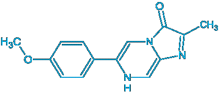 Superoxide Mechanism